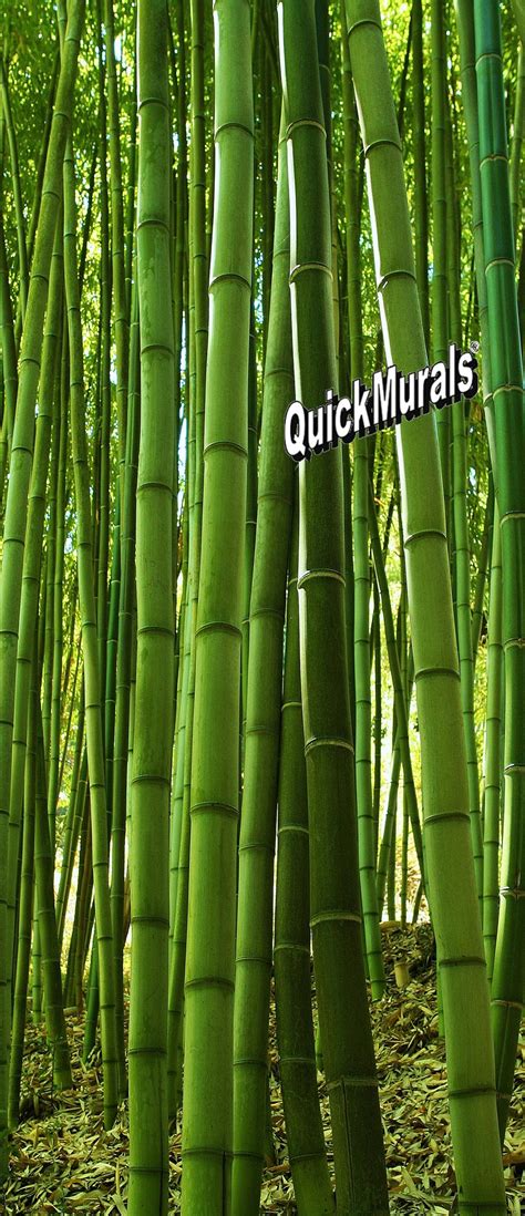 Bamboo Grove 1 Piece Peel And Stick Door Mural Peel And Stick Canvas