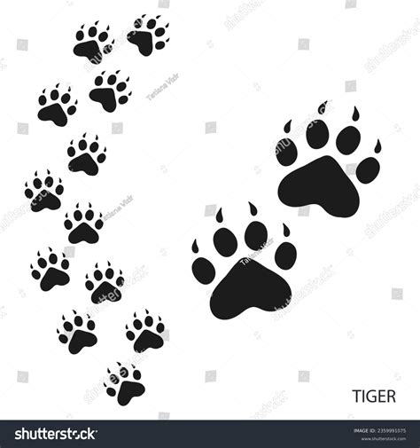 Tiger Footsteps Images Stock Photos D Objects Vectors