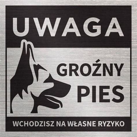 Tabliczka Uwaga Groźny Pies własne Ryzyko 20x20 cm Ceny i opinie