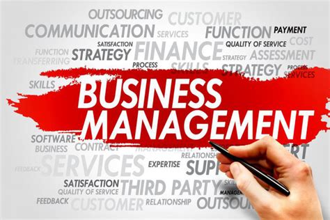 Career Opportunities with a bachelors in Business Management