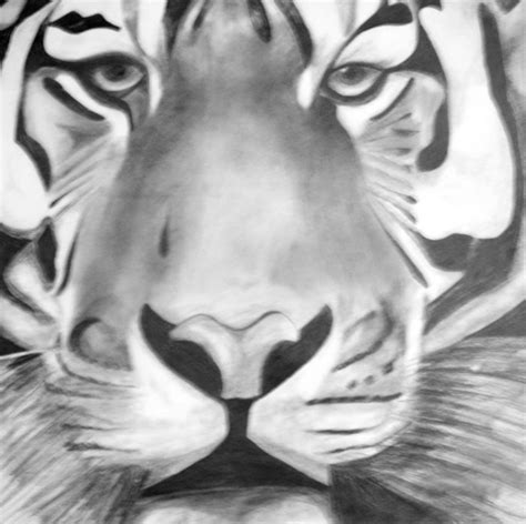 Lista Foto Imagenes De Tigres Animados Para Dibujar Alta