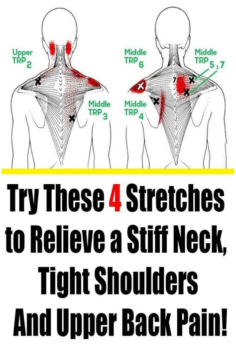 Neck And Shoulder Stretches Back Stretches For Pain Neck And Shoulder