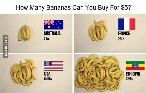 How Many Bananas Can You Buy For 5 9gag