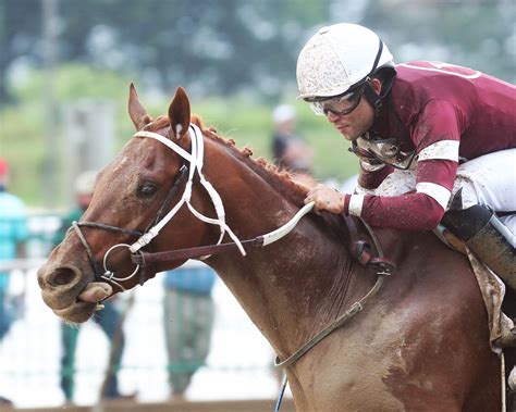 Arcangelo Is New No 1 In Breeders Cup Classic Contender Rankings