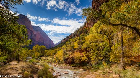 Fall Colors At Zion National Park Proartinc