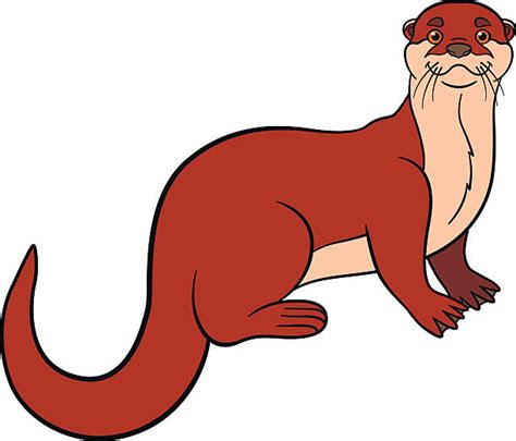 Cartoon Of The River Otter Illustrations Royalty Free Vector Graphics