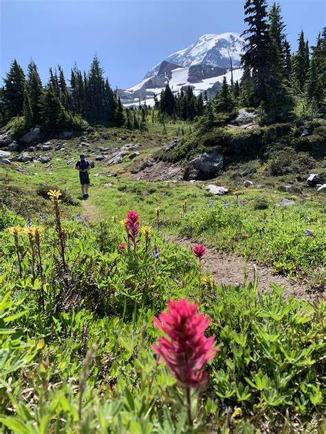 Spray Park Trail In Mount Rainier National Park Ft Some Indian