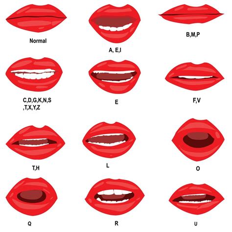 Lip Sync For Human Mouth Animation Vector Set Its Best For Character