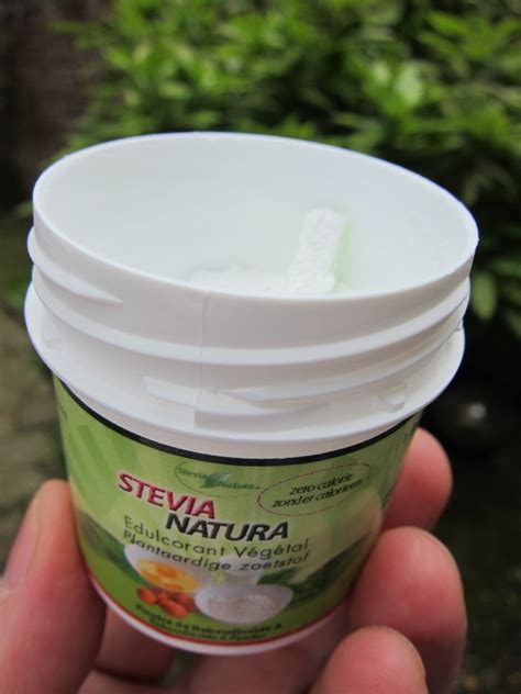 Sugar Free Berry Yoghurt Ice Cream With Stevia Ice Cream Nation