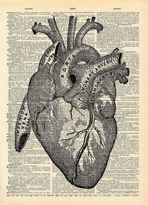 See more ideas about anatomy, anatomy art, medical illustration. Vintage Book Art Print Anatomical Heart Art Upcycled Book