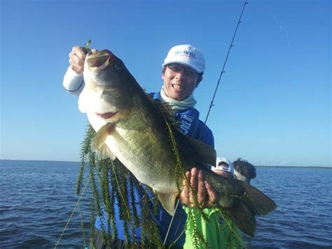 Largemouth Bass Fishing Orlando This Week Lake Toho Guides The