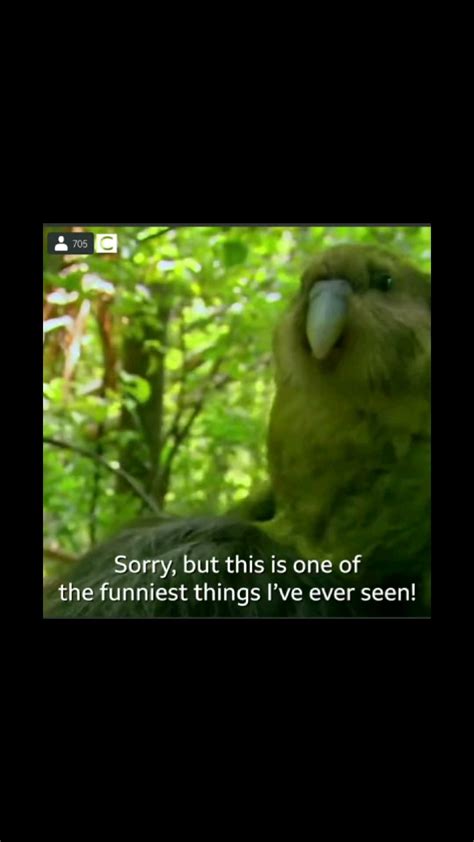 Kakapo And Stephen Fry Rdonthelpjustfilm