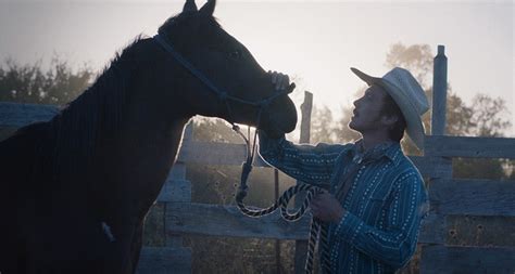 Хлоя чжао / chloé zhao. Horse Actors and a Six-Man Crew: How Chloé Zhao Made 'The ...