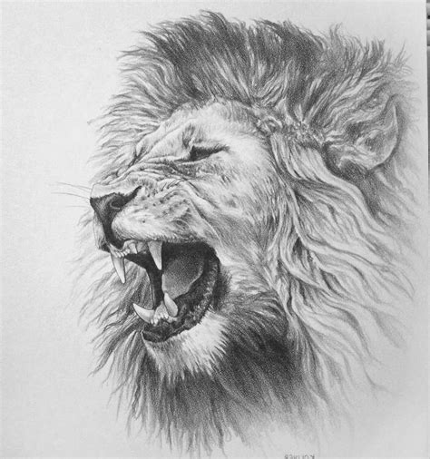 Pin By Armando Hila On Pencil Excellence Lion Sketch Drawings