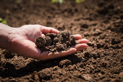 Its Not Dirt Its Soil And Its Key To Farmers Clean Water Efforts