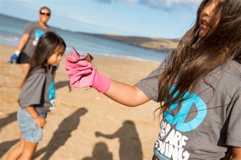 World Oceans Day Activities Find Maui Microplastic Average Below Global
