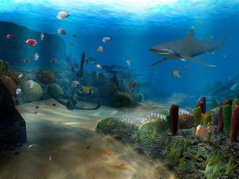 Ocean Dive 3d Screensaver Explore The Bottom Of The Ocean Yourself