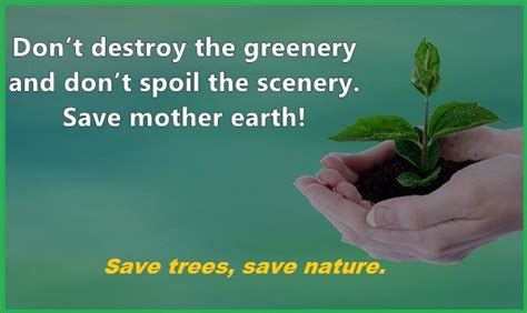 Slogans On Save Trees Best And Catchy Save Trees Slogan Tis Quotes