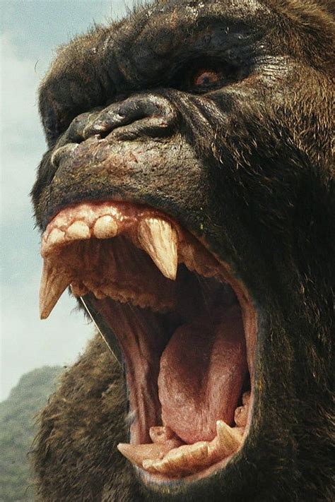 Heres Your Spoiler Filled Reveal Of What Happens In Kong Skull Island