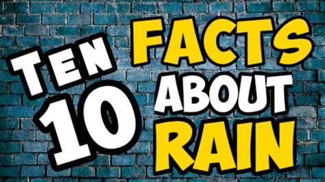 Incredible 10 Facts About Rain Ideas Information