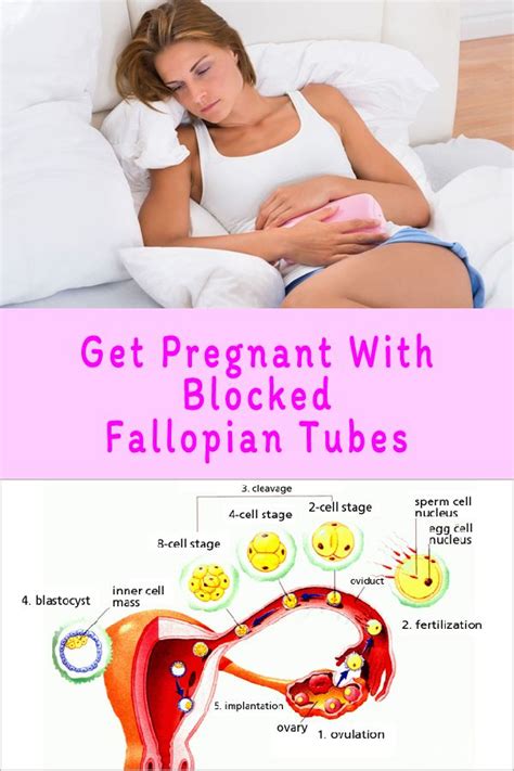 Real Result To Getting Pregnant Quickly And Naturally Get Pregnant With Blocked Fallopian Tubes