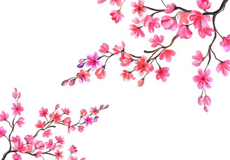 Cherry Blossoms Mural Ideas Imagimurals Hand Painted And Custom