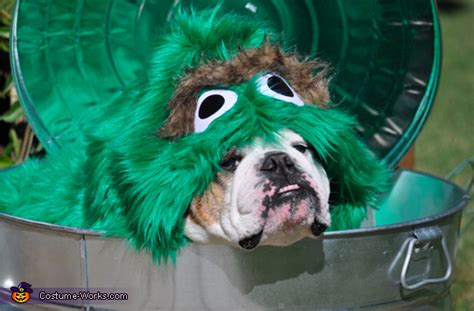 Oscar The Grouch Dogs Halloween Costume Photo 23