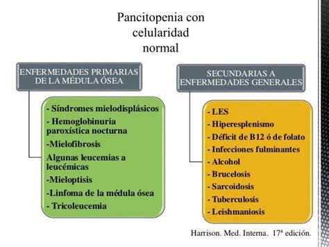 Pancitopenia Diagnostico Diferencial
