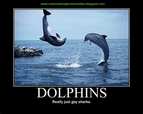Funny Dolphin Quotes Quotesgram