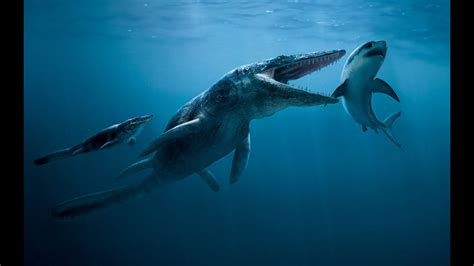 Top 5 Prehistoric Sea Monsters Creatures Killers Hd Youtube