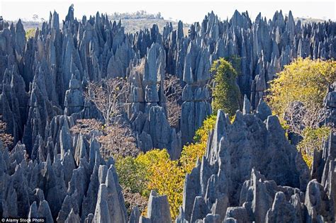 Green Savers As Montanhas Afiadas De Tsingy Madagáscar National