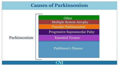 Diagnosis Of Parkinsons Disease Youtube