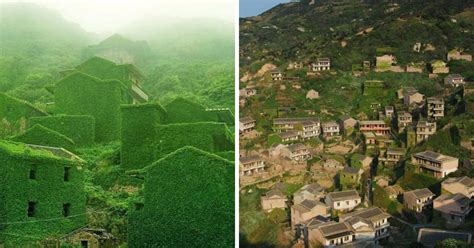 Chinas Abandoned Fishing Village Has Been Reclaimed By Nature