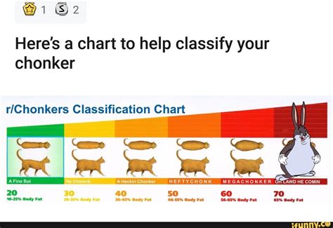 Heres A Chart To Help Classify Your Chonker Rchonkers Classification