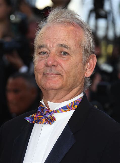 What Happened To Bill Murray News And Updates Gazette Review