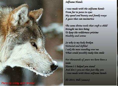 Beautiful Poem In 2020 Wolf World Pet Wolf Majestic Animals