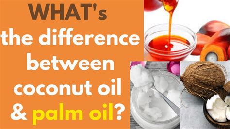 Palm Oil Vs Coconut Oil What Is The Difference Between Palm Oil And Coconut Oil Youtube