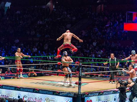 A Brief Guide To The Lucha Libre The Mexican Sport — La Palomilla Bed And Breakfast