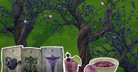 Sims 4 Plasmafrucht And Co Gute Vampire Ernähren Guide Nerd Gedanken