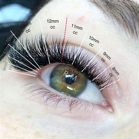 40 Best Photos Cat Eye Lash Extensions Natural Customizing Lash