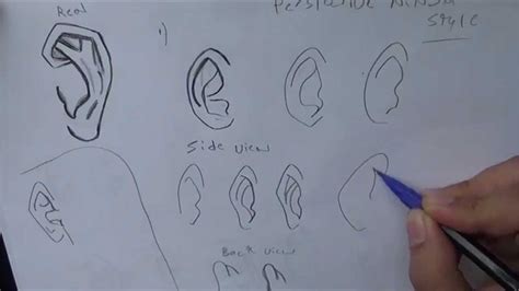 How To Draw Manga Ears For The Absolute Beginner Youtube