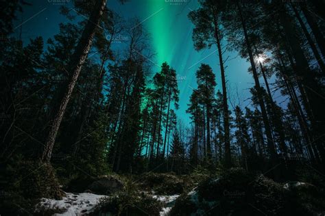 Northern Lights In Magic Forest High Quality Stock Photos ~ Creative