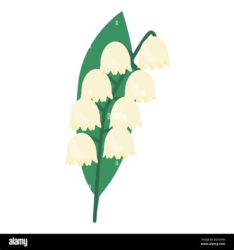 Lily Of The Valley Icon Isolated Vector Illustration May Lily Flower