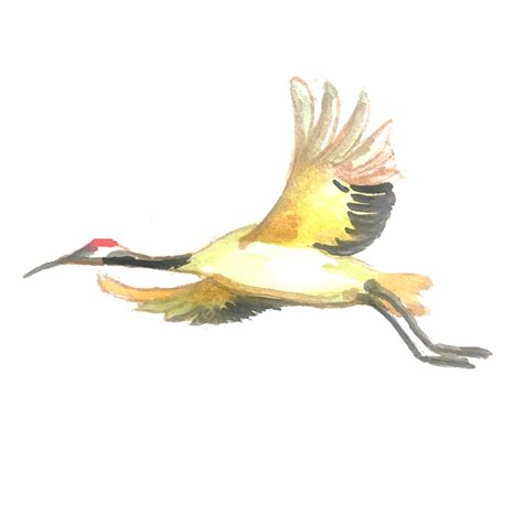 Crane Png Transparent Crane Birds Animal Material Hand Draw Png