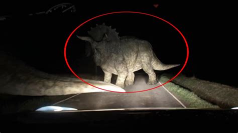 15 Dinosaurs Caught On Camera In Real Life Jurassic World Dominion Youtube