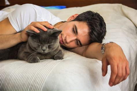 14 Ways To Celebrate National Hug Your Cat Day