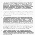 How to Write a 5 Paragraph Essay: Guide for Students