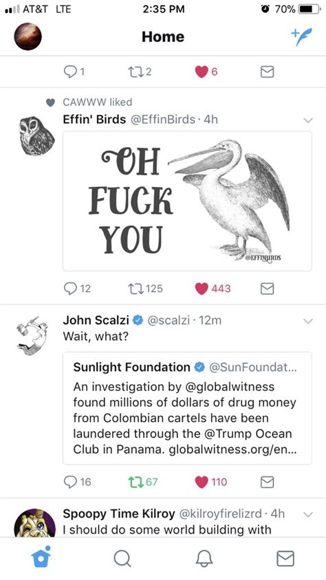 Effin Birds On Twitter