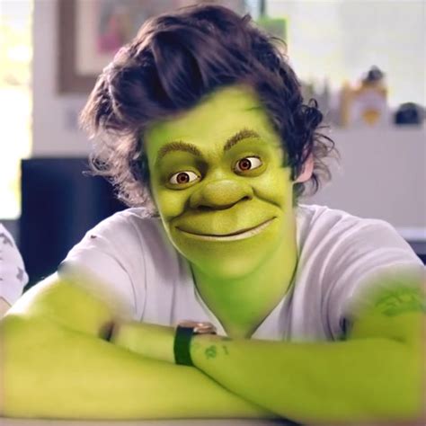 Same picture of shrek every day. 1D New Band Member - Shrek Styles : funny
