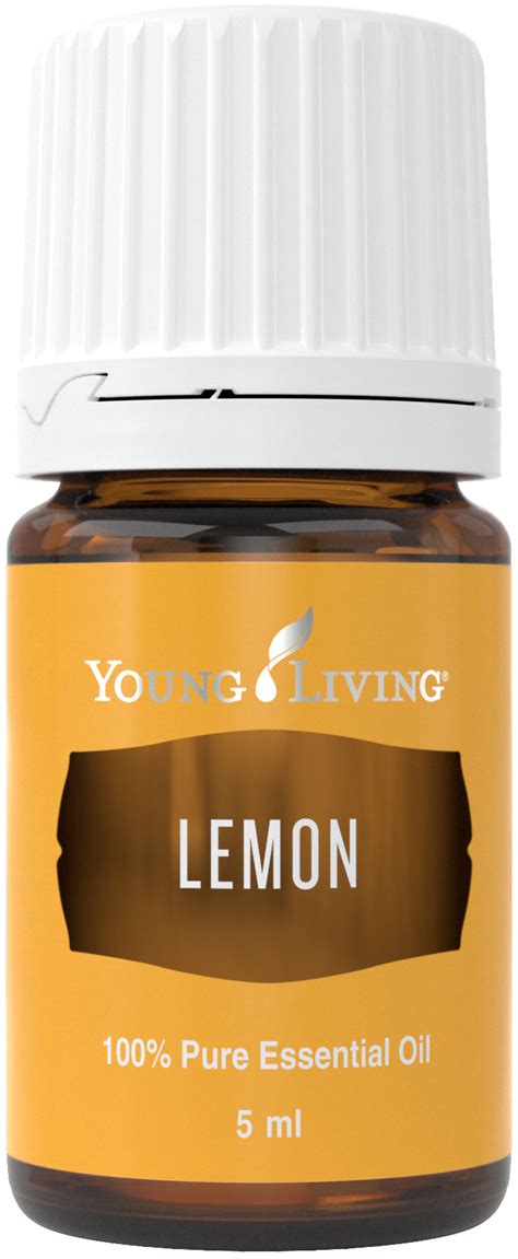 Young Living Purification Essential Oil Blend Uses And Benefits Young
